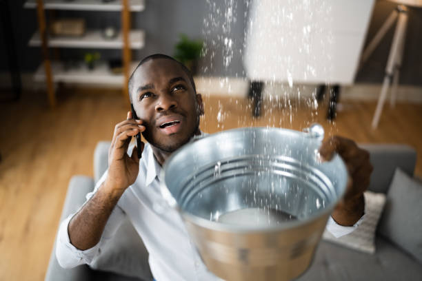 Best Ceiling water damage repair  in Brooklyn Heights, OH