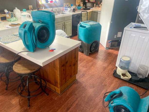 Best Water damage contractors near me  in Brooklyn Heights, OH