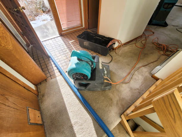 Best Water damage restoration near me  in Brooklyn Heights, OH