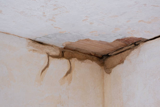 Best Emergency water damage restoration  in Brooklyn Heights, OH