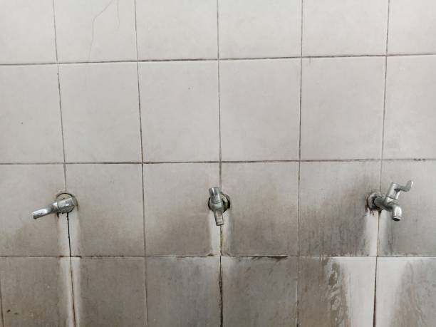  Brooklyn Heights, OH Water damage restoration Pros