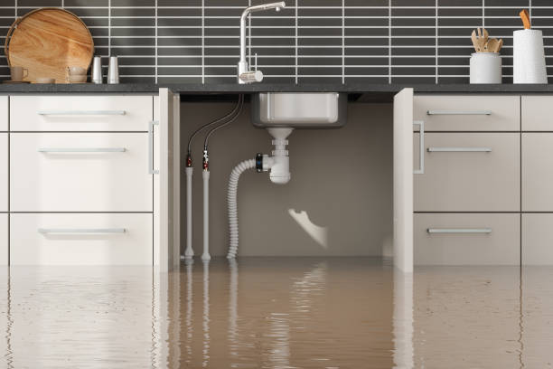 Best Local water damage restoration  in Brooklyn Heights, OH