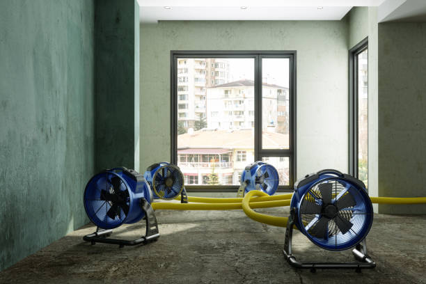 Best Fire Damage Restoration  in Brooklyn Heights, OH